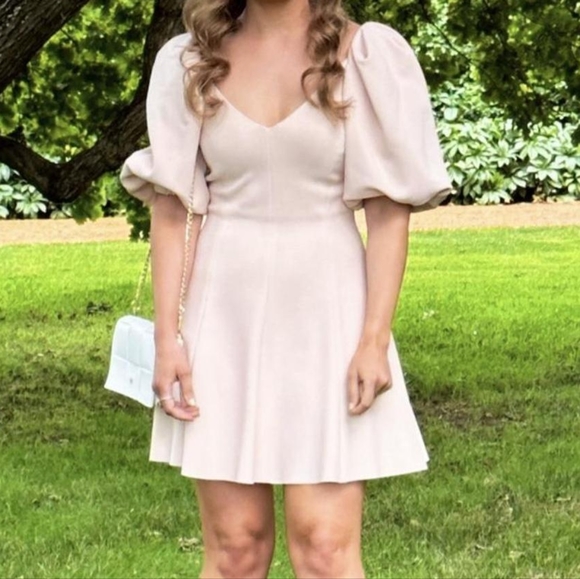 Misha Marlin Dress - Picture 3 of 4